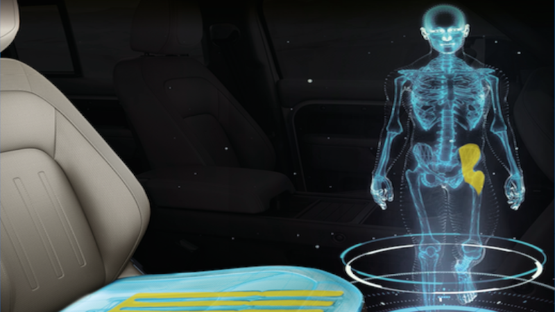 Asiento Fitness Jaguar