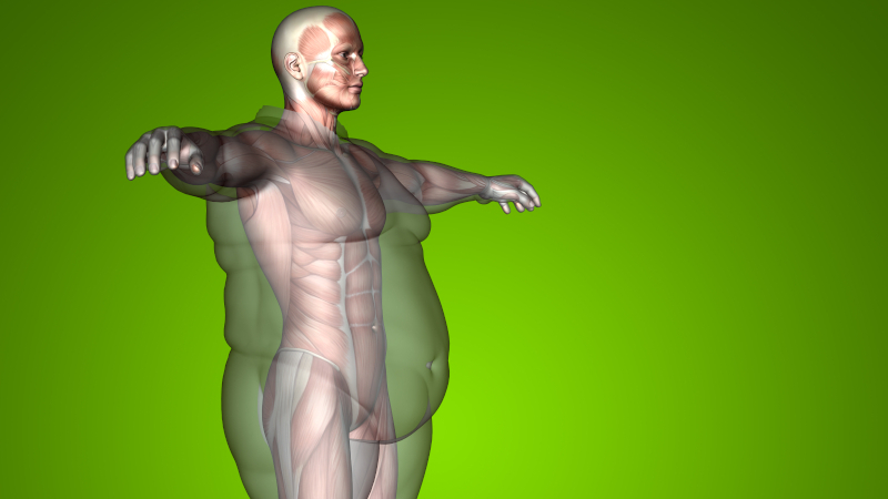 Imagen ilustrativa Tejido Graso