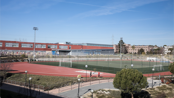 Observatorio para el impulso de la empleabilidad deportiva