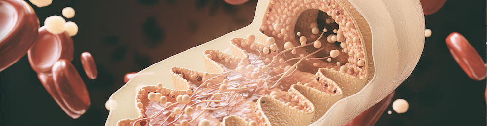 La mitocondria también cuenta