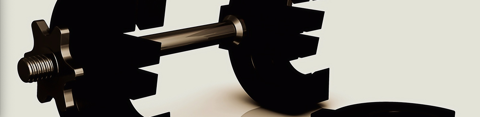 Los datos de Insight View revelan un alto porcentaje de gimnasios bajo riesgo máximo o elevado de impago