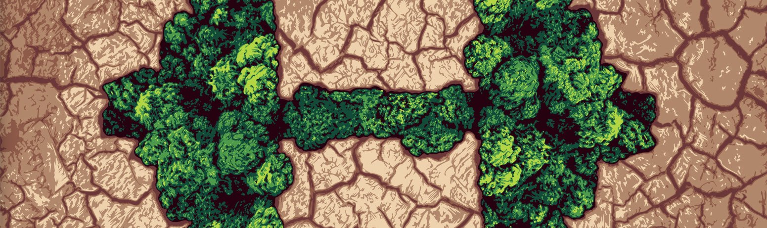 Dreamfit revoluciona el mundo del fitness con Dreamgreen bajo el slogan “¡Suda sin que te la sude el planeta!“