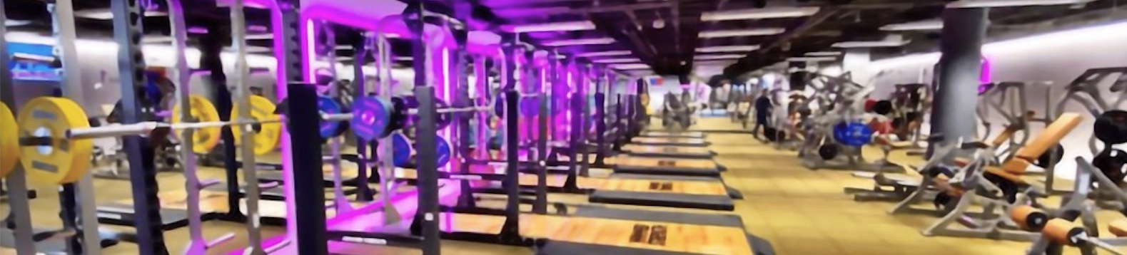 Vivagym imparable después de una nueva adquisición de 4 gimnasios de la cadena OneFit