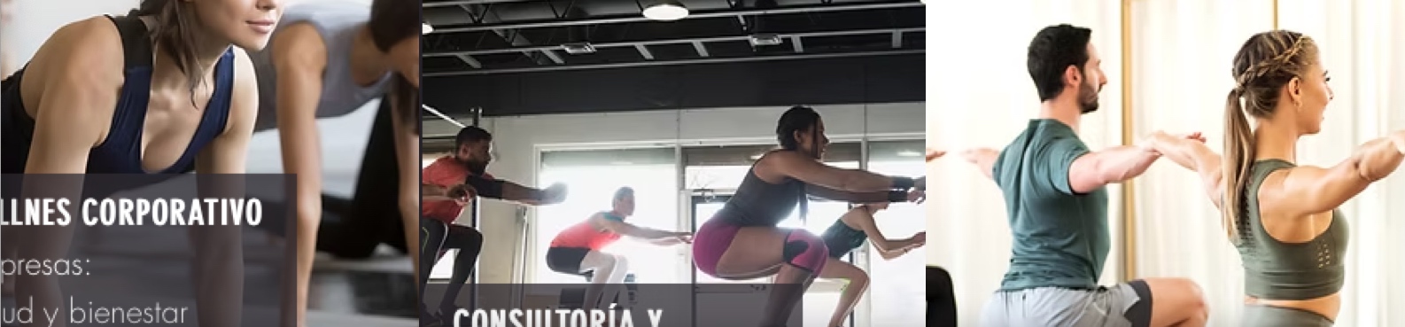 Nace In Company Fitness, primera consultora en España especializada en Formación y Recruiting para gimnasios