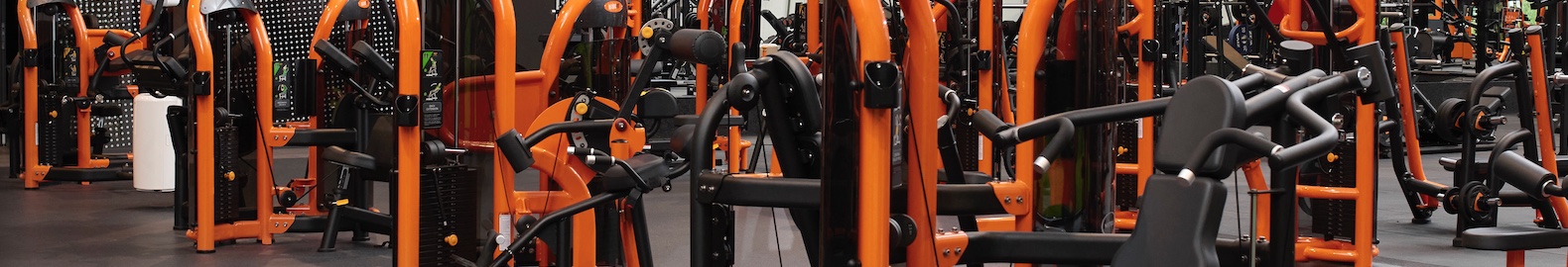 Basic-Fit anuncia un programa de recompra de acciones por 40 millones de euros