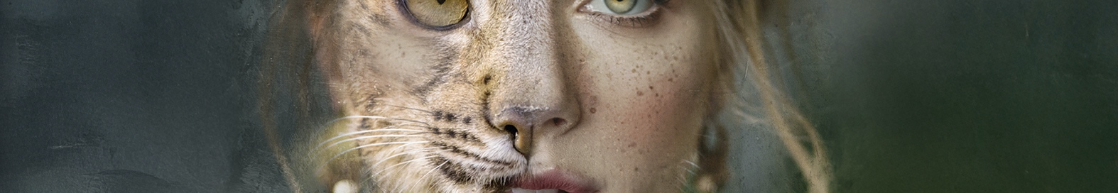 Dreamfit lanza su Semana Solidaria junto a WWF España: el fitness con propósito