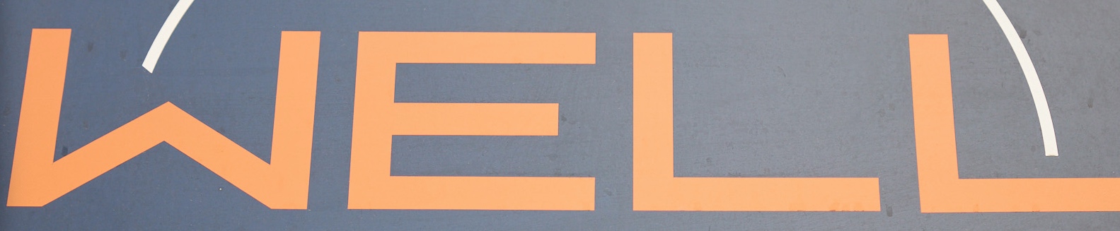 La marca de entrenamiento personal WELL lanza su modelo de franquicia