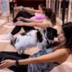 ¿Quieres entrenar con tu mascota? “Puppy Barre” llega a Barcelona y abre una nueva vía en el fitness experiencial