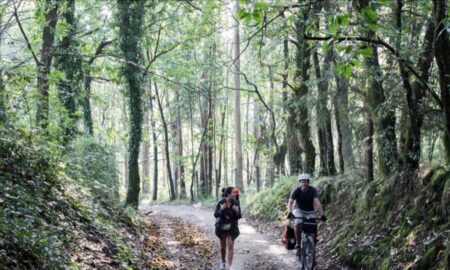 Galicia se propone alcanzar los dos millones de personas activas con el impulso del Plan 2 Millones