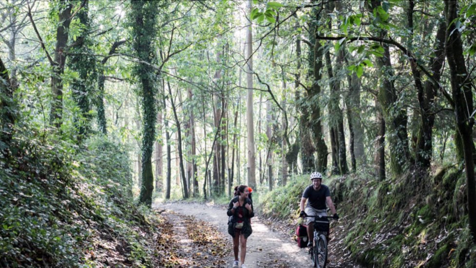 Galicia se propone alcanzar los dos millones de personas activas con el impulso del Plan 2 Millones