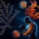 Amilopectina: Todo lo que se debe saber sobre este suplemento